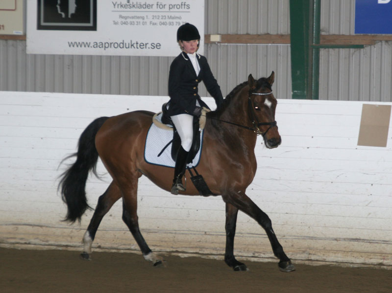 20080406_121418 Hanna Severin Diamonds Eight